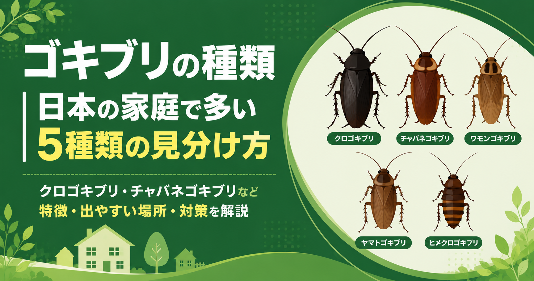 ゴキブリの種類と特徴解説