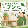 クマネズミのフンの特徴と見分け方