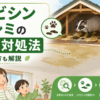 ハクビシン天井シミの原因と対処法