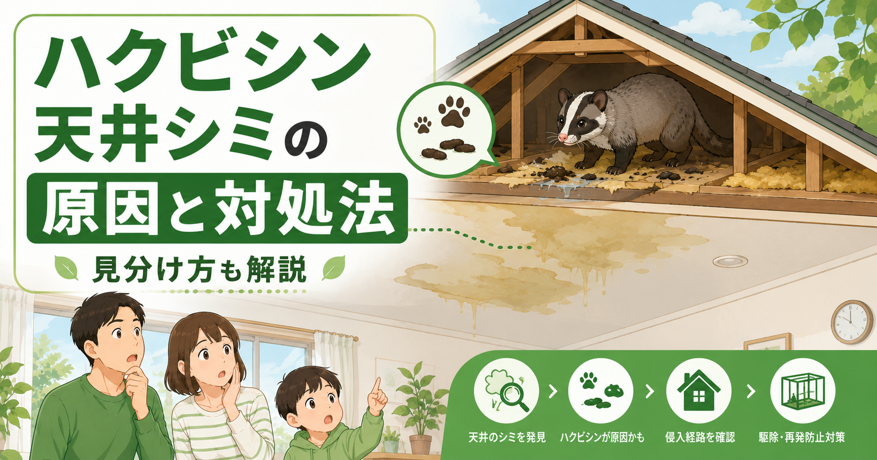 ハクビシン天井シミの原因と対処法