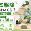 ネズミ駆除相場の費用目安を解説するイメージ画像