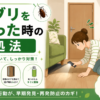 ゴキブリを見失ったときの探し方と対処法を解説するイメージ画像