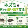 ネズミを家から追い出す方法