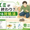 ネズミが出たら終わり 対処法