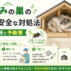 ねずみの巣 発見場所と対処法