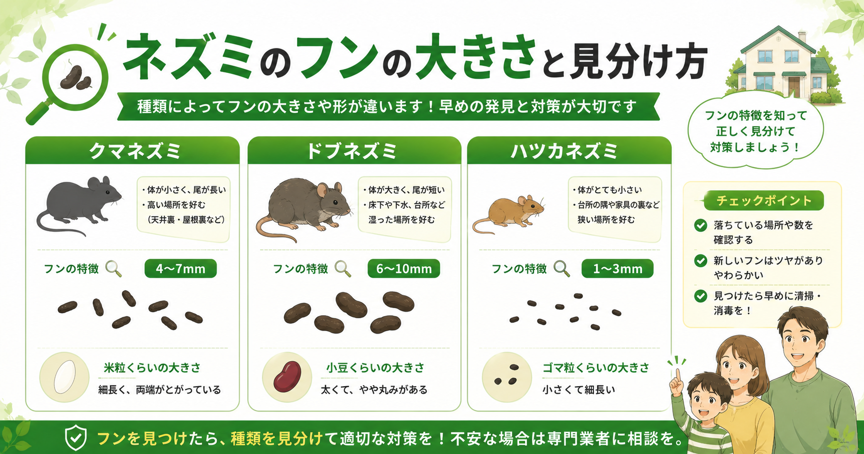 ネズミのフン 大きさ 比較