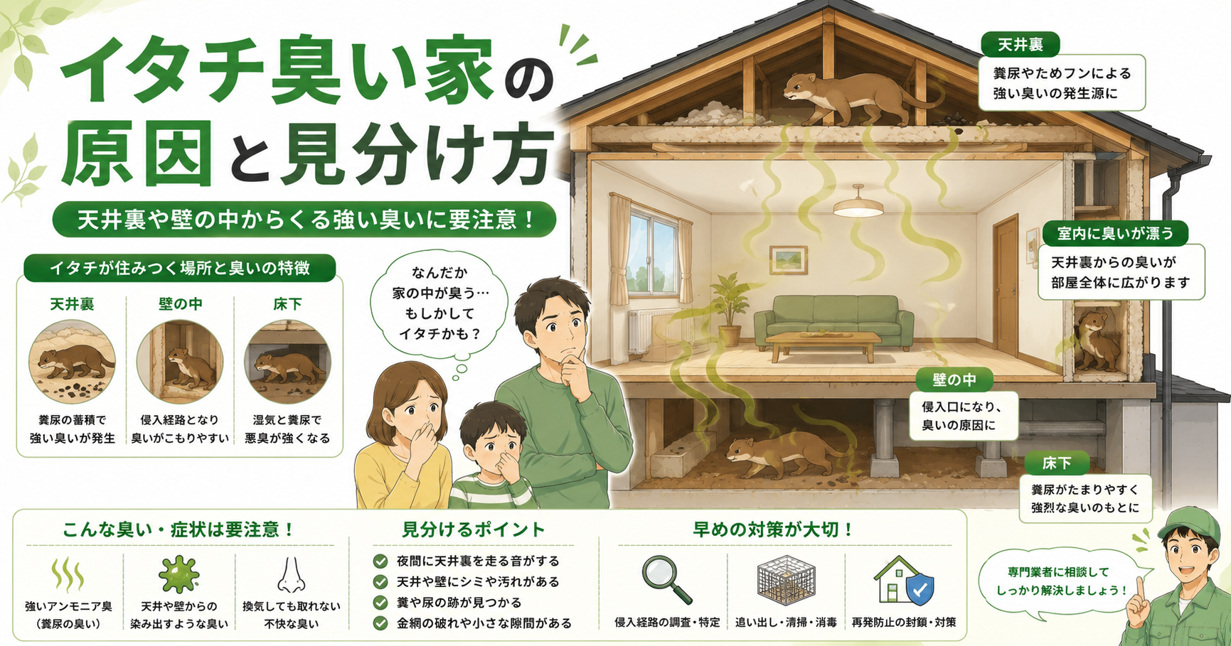 イタチ 臭い 原因 天井裏