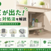 マンション ネズミ 対処法