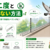 鳩を二度と来させない対策
