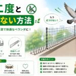 鳩を二度と来させない対策