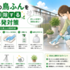 ベランダ 鳥ふん 掃除 手順