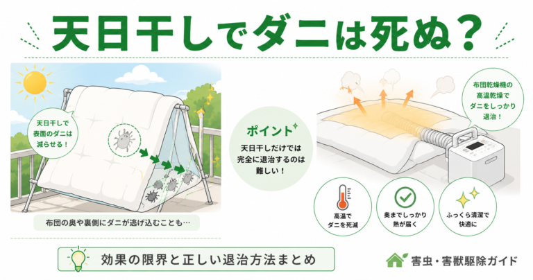 天日干しでダニは死ぬ？効果の限界と正しい退治方法まとめ