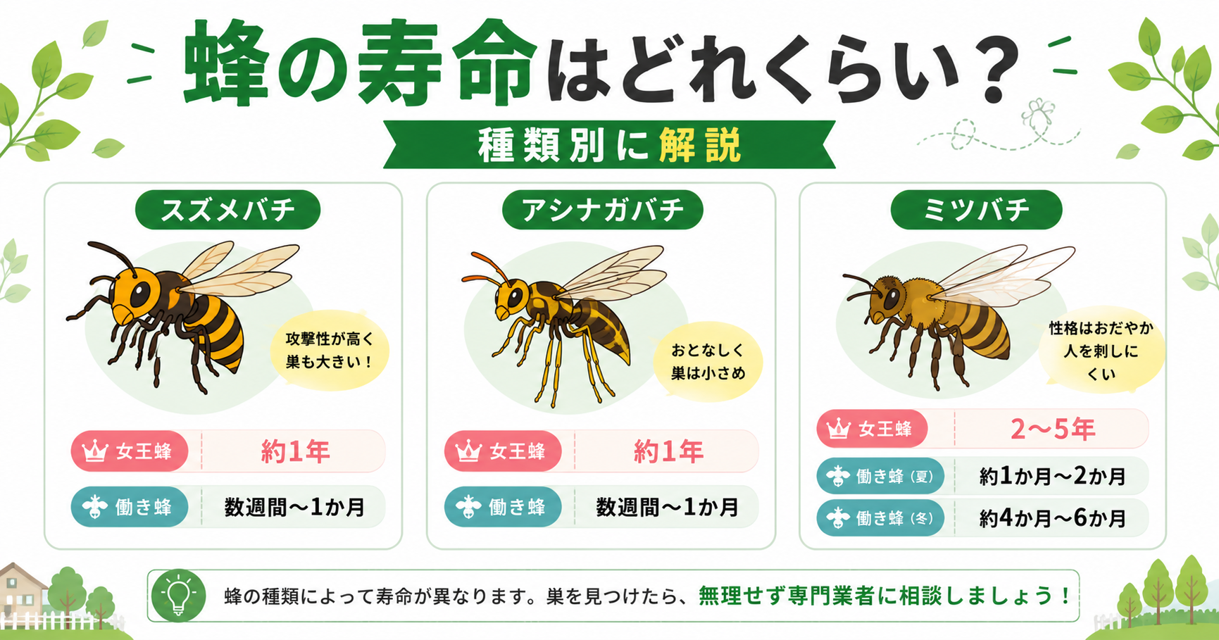 蜂の寿命 スズメバチ・アシナガバチ・ミツバチ別の目安
