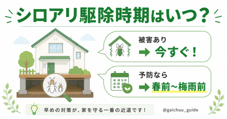シロアリ駆除時期はいつ？被害サインと予防のタイミング