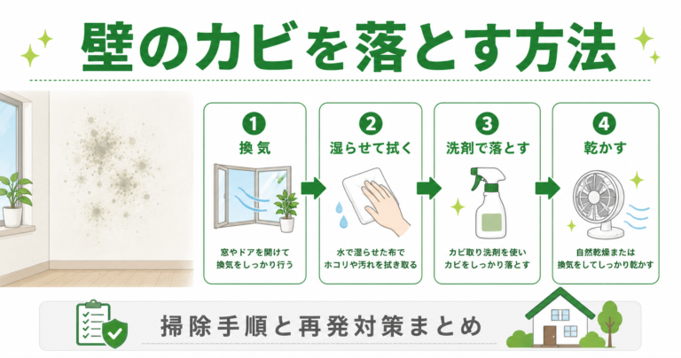 壁のカビを落とす方法｜掃除手順と再発対策まとめ