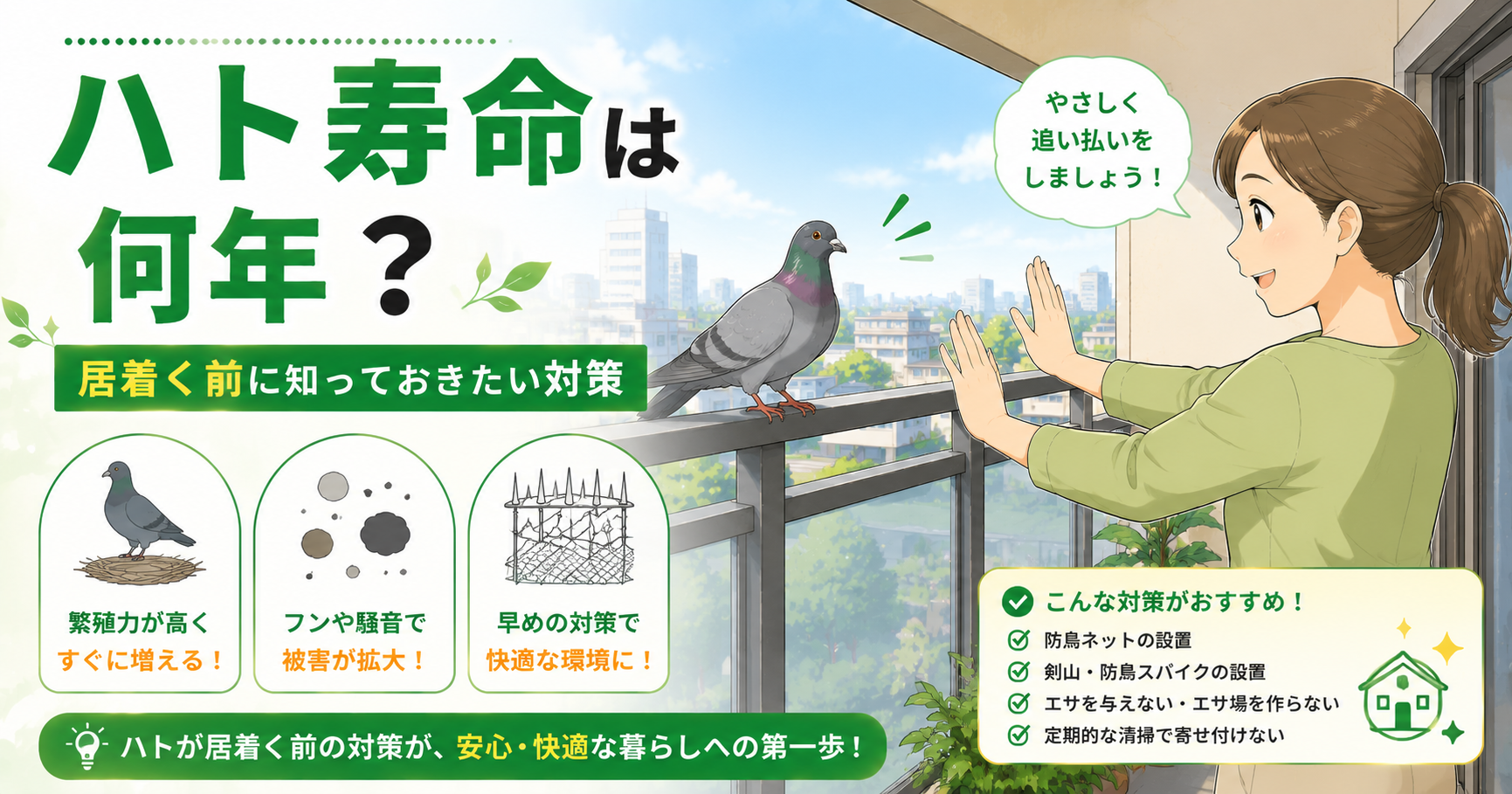 ハト寿命 ベランダの鳩対策