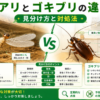 シロアリとゴキブリの違いと見分け方