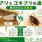 シロアリとゴキブリの違いと見分け方