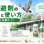 鳩忌避剤の選び方と種類比較