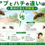 アブとハチの違いと見分け方