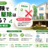 火災保険 シロアリ 使えるか理由と例外を解説