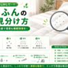 ダニのふん 見分け方