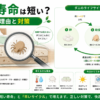 ダニの寿命と繁殖サイクルを図解したイラスト