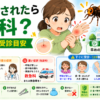 蜂に刺されたら何科を受診するか解説するイラスト