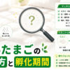 ダニのたまご 見分け方