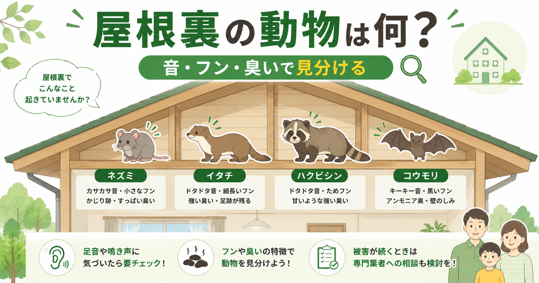 屋根裏の動物 見分け方