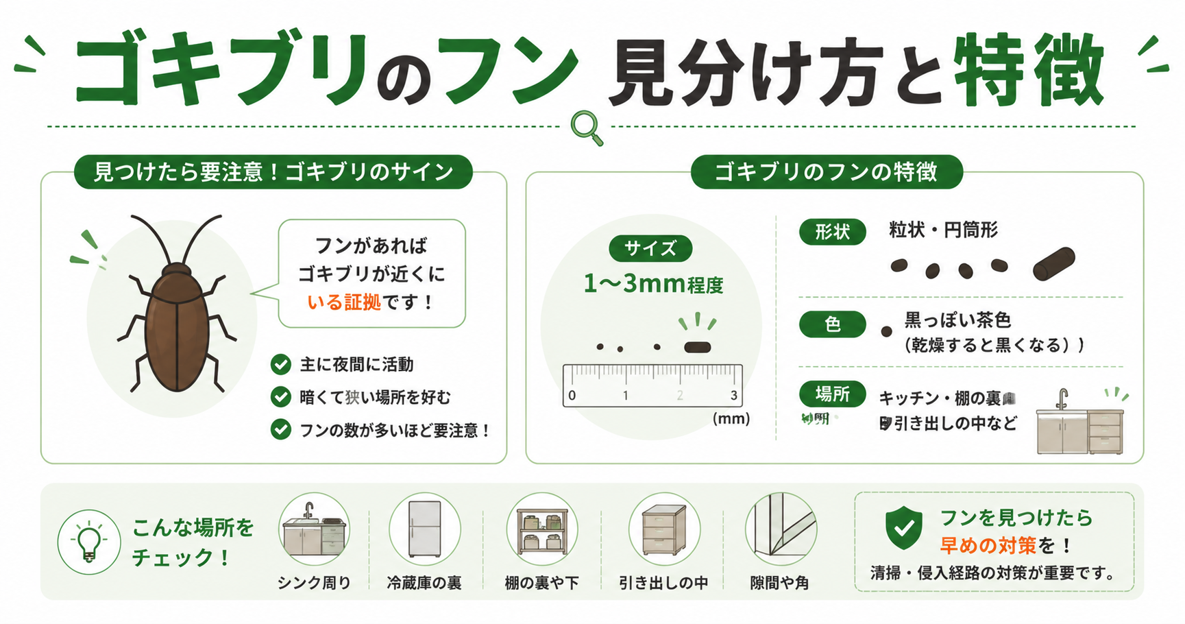 ゴキブリのフン 見分け方と特徴のイラスト解説