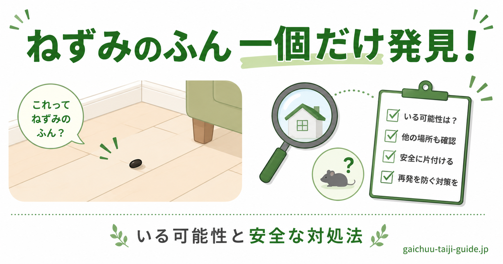 ねずみのふん 一個だけ発見した場合の見分け方と対処法