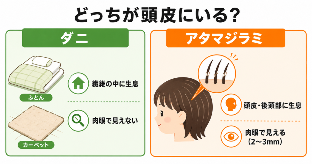 ダニとアタマジラミの違いを比較したインフォグラフィック