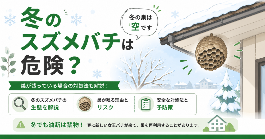冬のスズメバチは危険？巣を放置してもいい理由と対処法