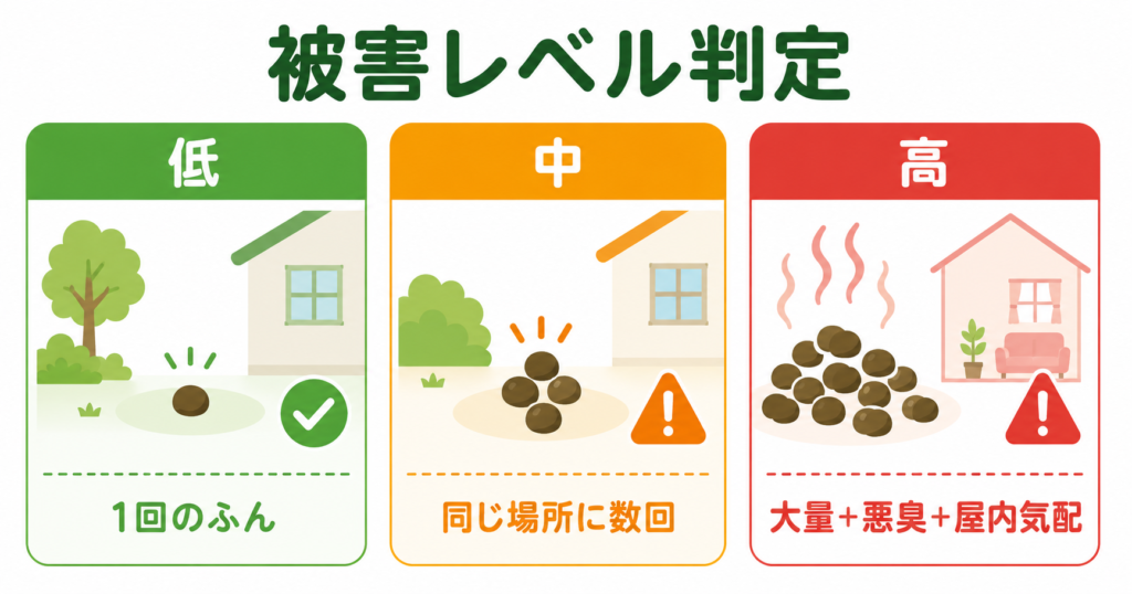 タヌキのふん 被害レベル判定 低中高