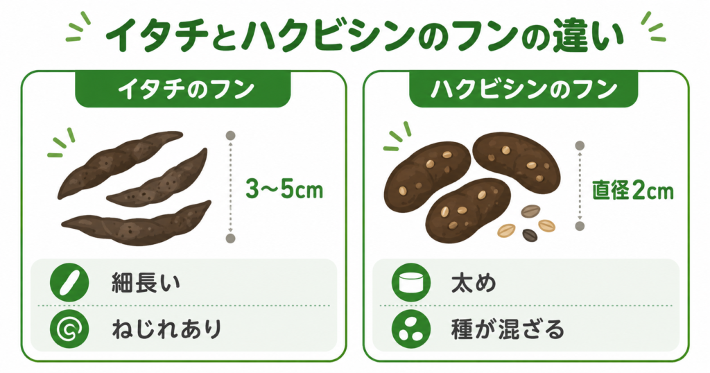 リアルな描写は避け、アイコン・記号レベルのシンプルなイラストにする
